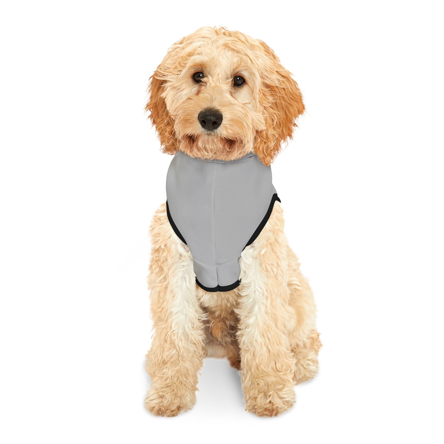 Obedience School Dropout Pet Hoodie