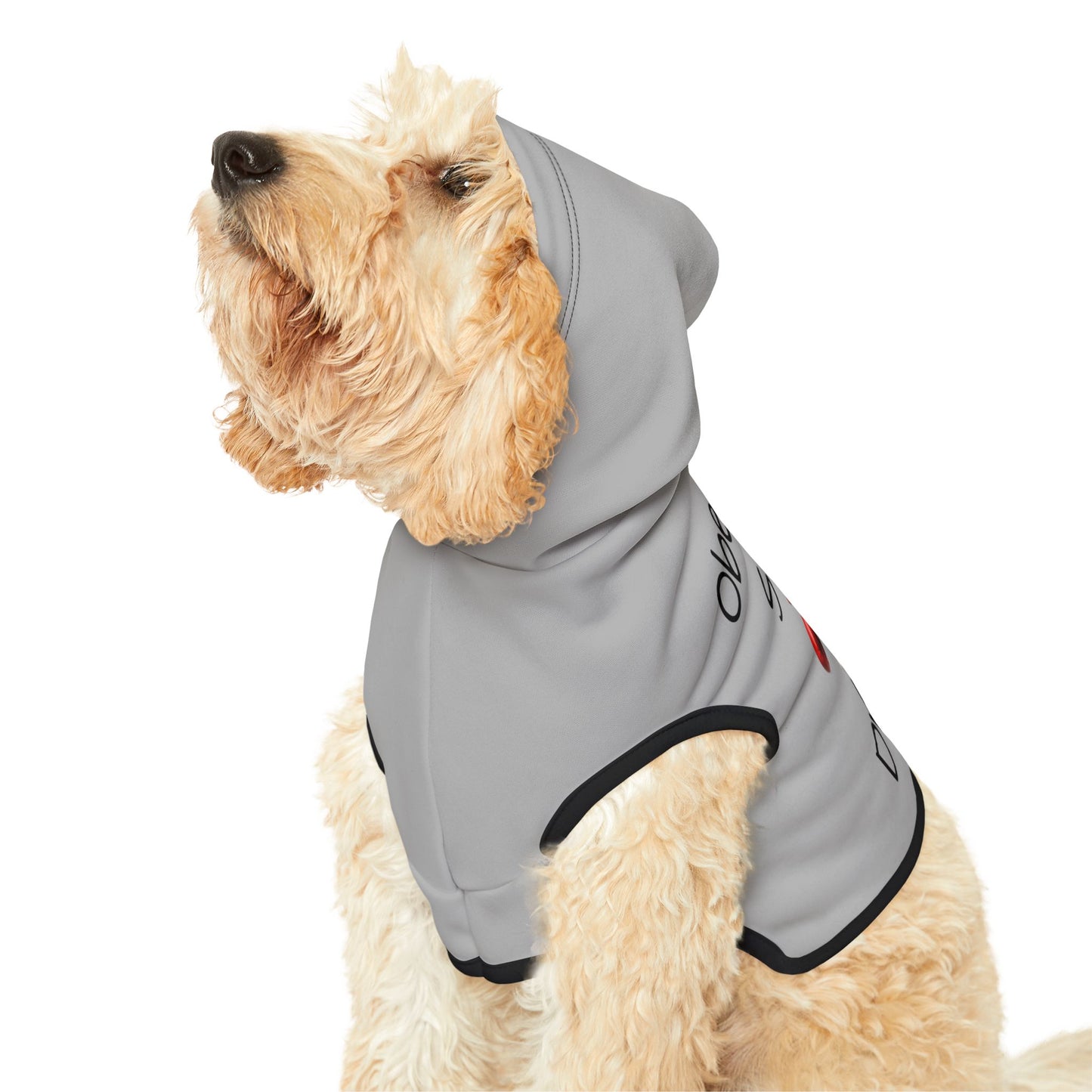Obedience School Dropout Pet Hoodie